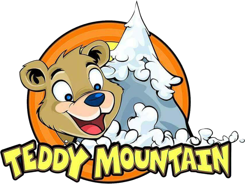 teddy mountain party